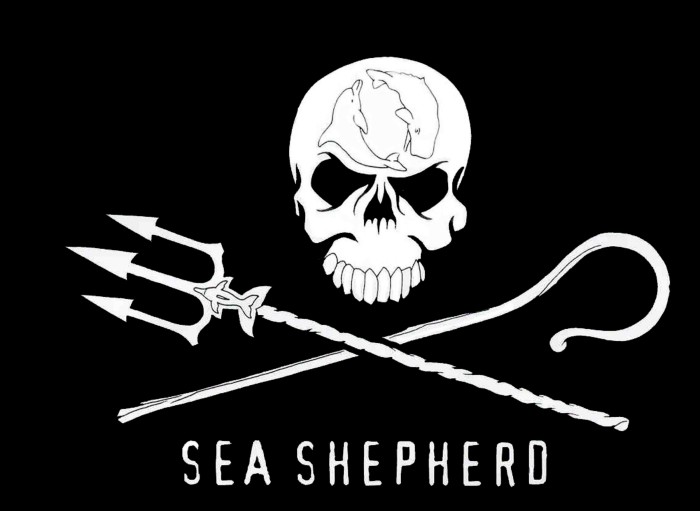 Klogr x Sea Shepherd