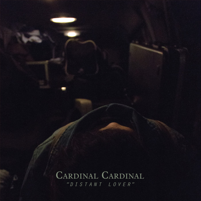 Cardinal Cardinal ‘Distant Lover’