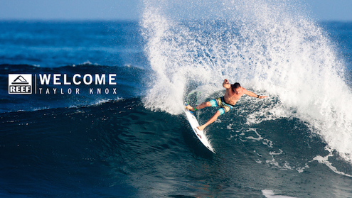 Taylor Knox joins Reef