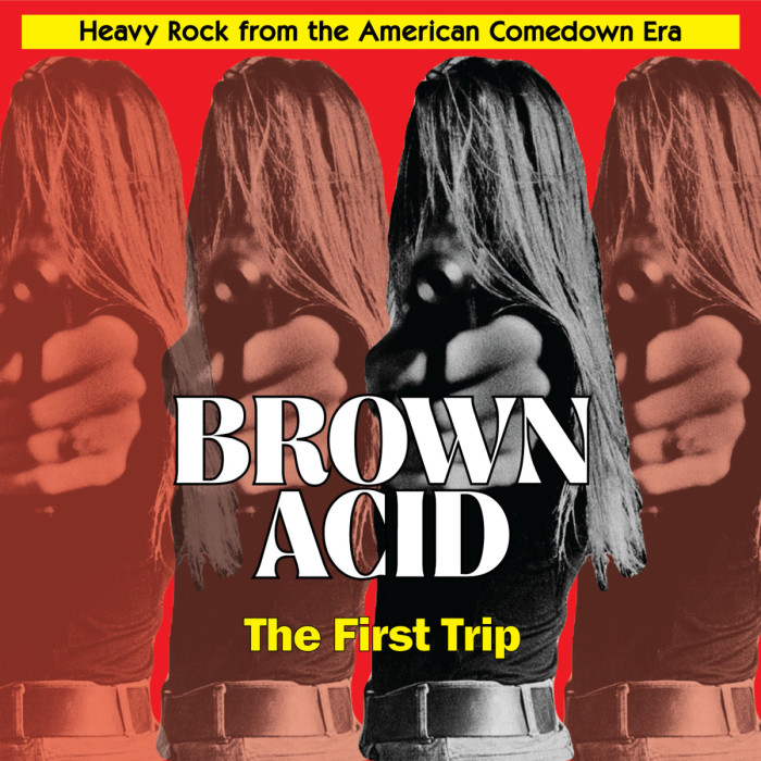 A.A.V.V. ‘Brown Acid – The First Trip’