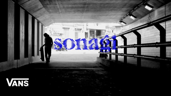 ‘Sonagi’ | Skate | Vans
