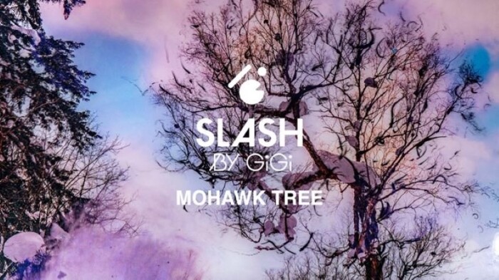 Sean Kerrick Sullivan x Slash by GiGi Art Work