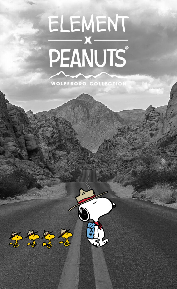 Element x Peanuts®