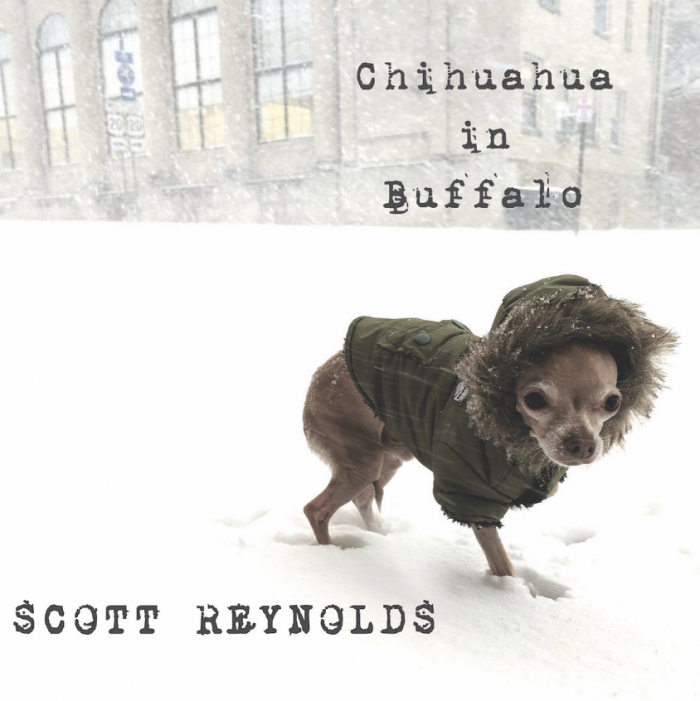 Scott Reynolds (ALL) releasing ‘Chihuahua In Buffalo’ 1st solo acoustic record