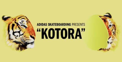 tiendasplx-adidas-skateboarding-1