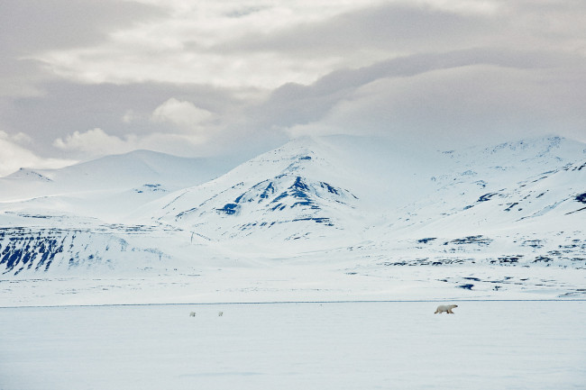 _SPITSBERGEN_IMG_6763_RT