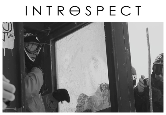 Vans presents Introspect