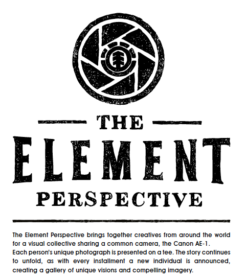 THE ELEMENT PERSPECTIVE FALL14