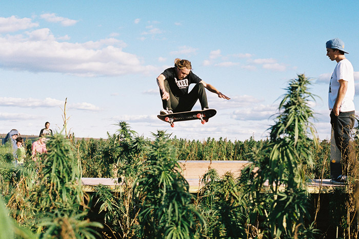 Afends start using hemp to become more sustainable – skate a ramp in hemp field to celebrate
