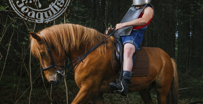 Steve-n-Seagulls-Brothers-in-Farms