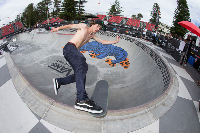 Vans park series 219 skaters sales