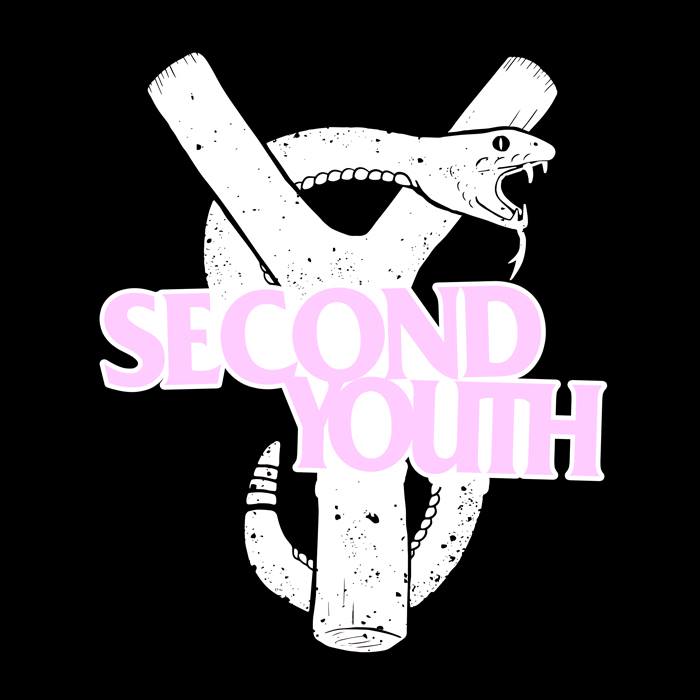 SECOND YOUTH ‘YOU HAUNT ME’ NUOVO VIDEO