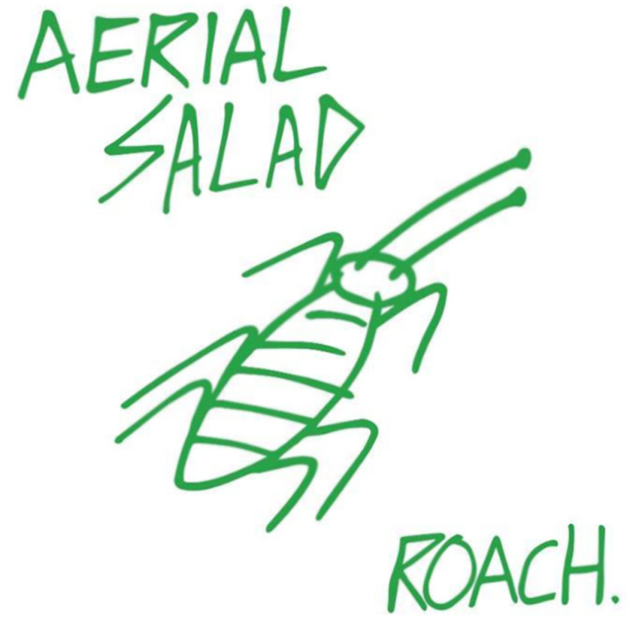 Aerial Salad ‘Roach’