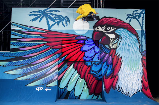 Brazilian Pedro Barros turns skatepark into street art
