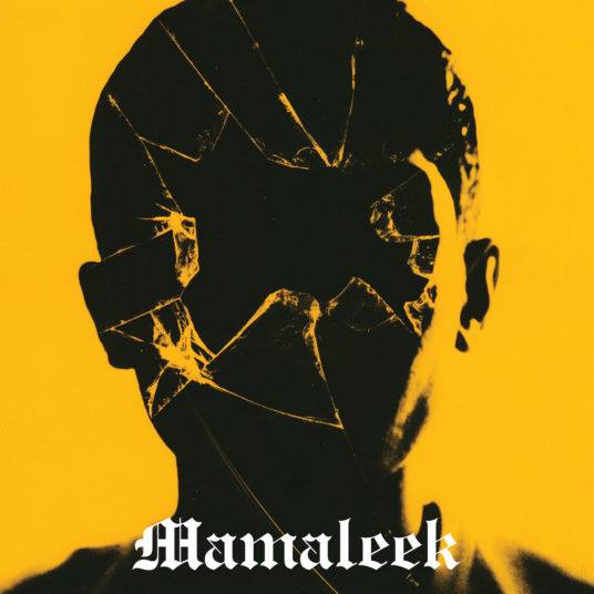 Mamaleek ‘Out Of Time’