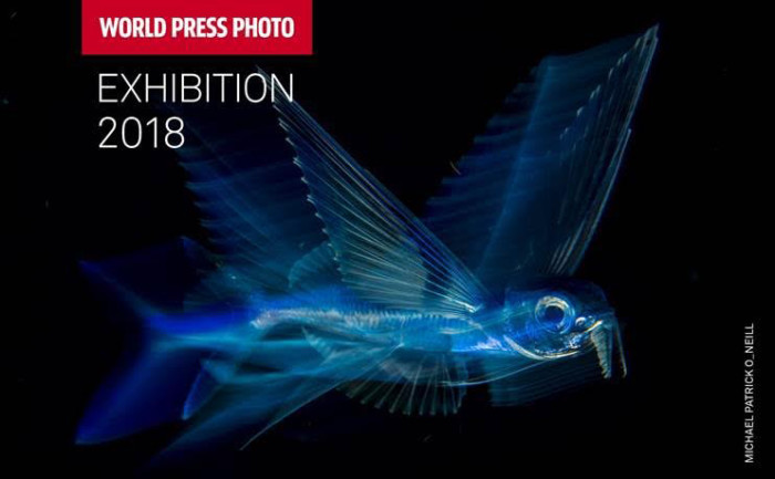 MOSTRA WORLD PRESS PHOTO 2018 ‘FOTOGRAFIA E GIORNALISMO: LE IMMAGINI PREMIATE NEL 2018′