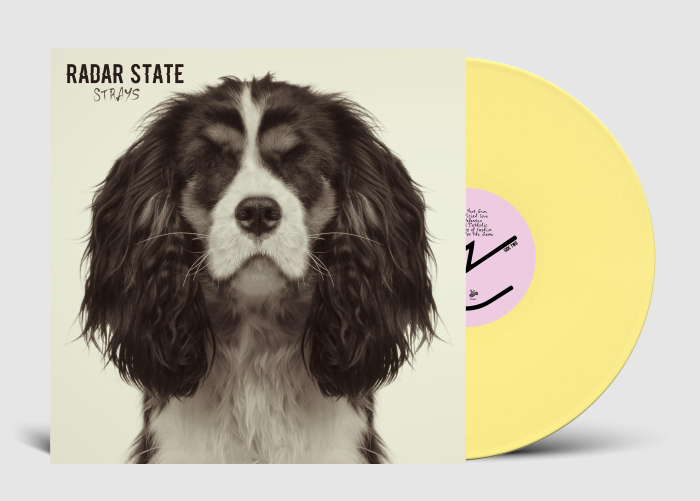 Radar State (The Get Up Kids / The Anniversary) ‘Strays’ out now (Wiretap Records / Disconnect Disconnect Records)