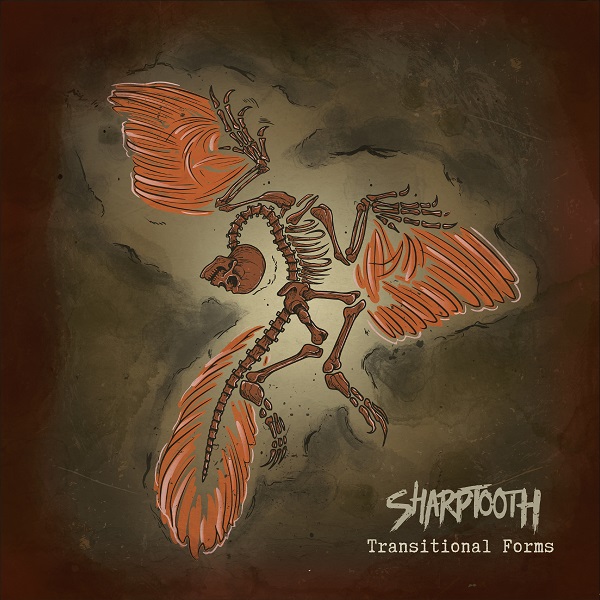 Sharptooth ‘Transitional Forms’