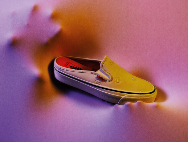 ho20_vault_vansxlqqk_-20200225_0043_cropped