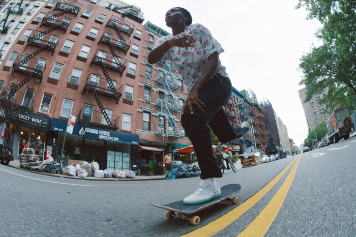 Vans AVE Pro x Beatrice Domond