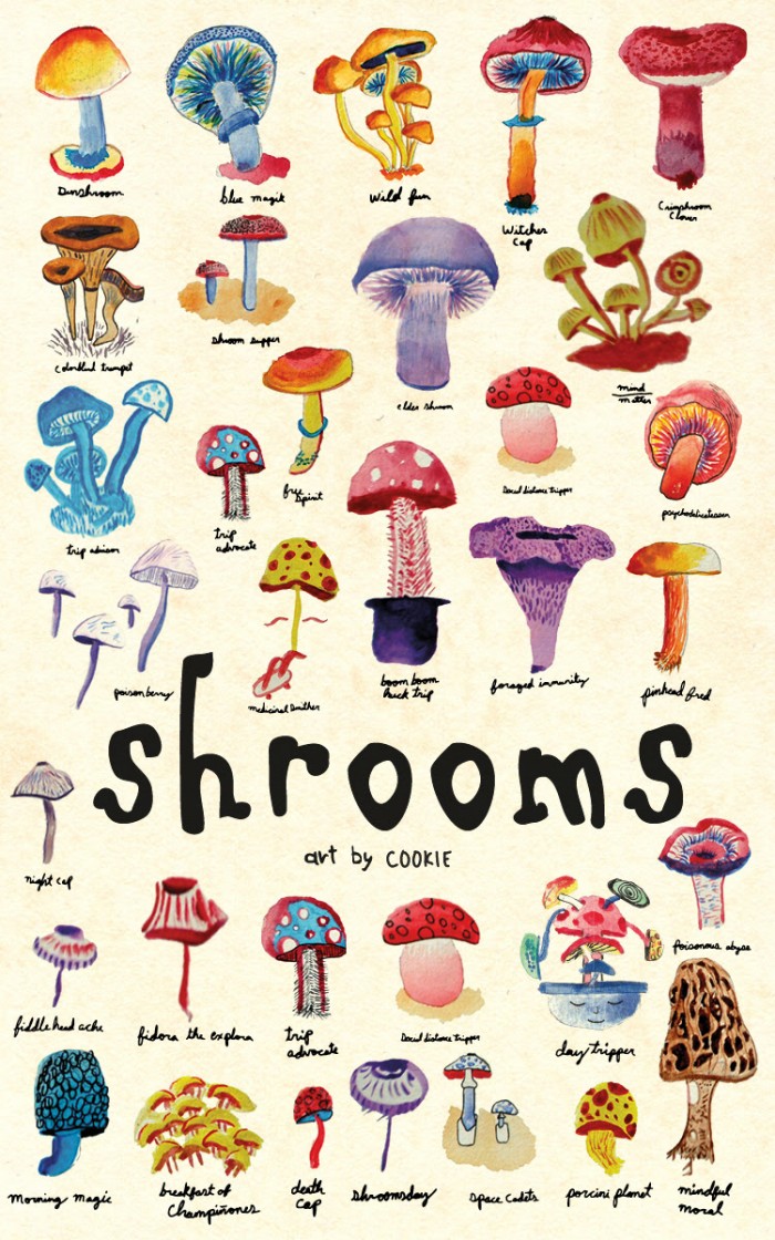 ELEMENT PRESENTS SHROOMS PACK ART BY “COOKIE”