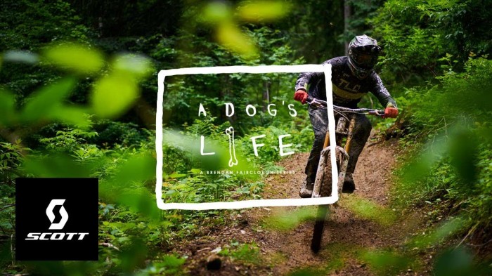 Scott // Europe’s Downhill Utopia – Portes du Soleil – ‘A Dog’s Life’ S.2, Ep.2 w/ Brendan Fairclough