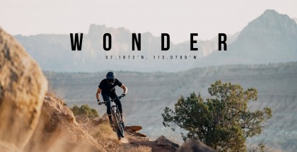 wonder-flightattendant