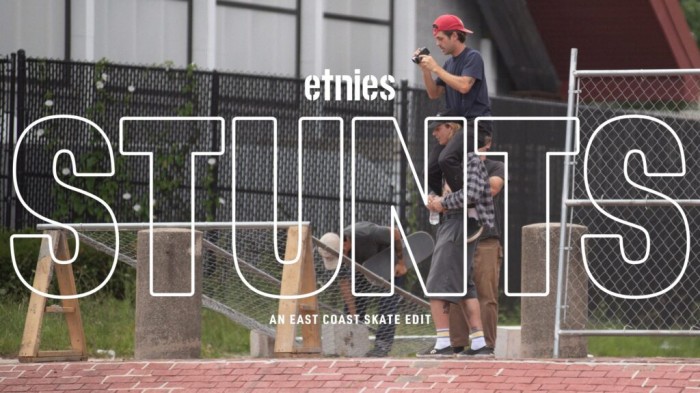 etnies ‘STUNTS’