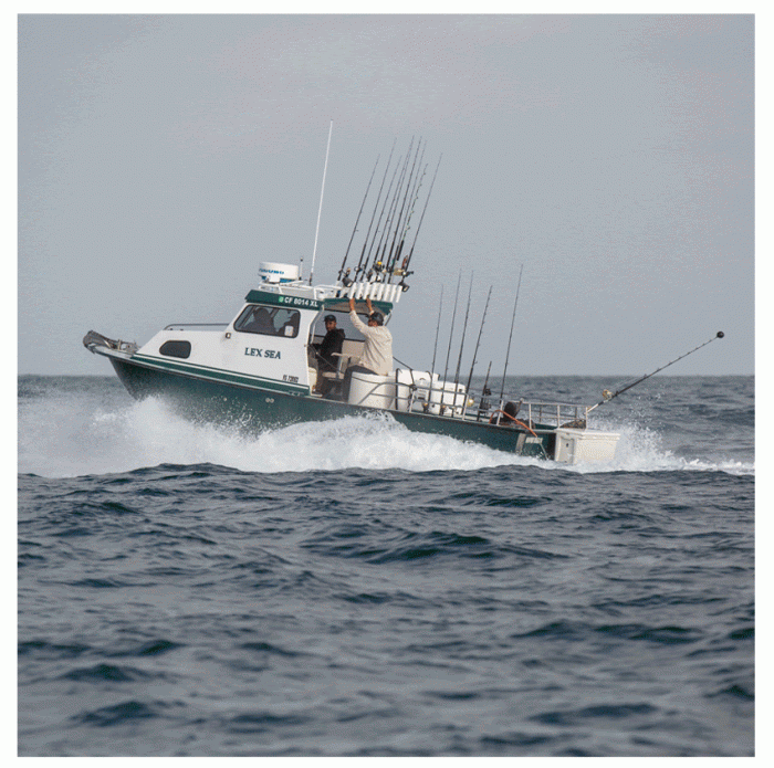 Dark Seas // Sport Fishing Group