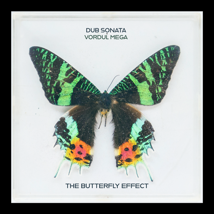 Cannibal Ox’s Vordul Mega connects with producer Dub Sonata on ‘The Butterfly Effect’