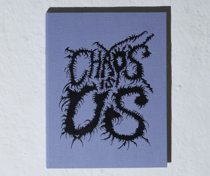 ‘Chaos Is Us’, uno scatto alla furia corale del punk