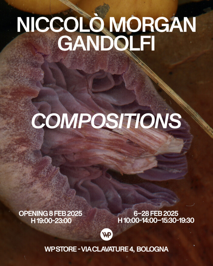 WP Store, Bologna presenta ‘Compositions’ di Niccolò Morgan Gandolfi | 6-28 febbraio 2025