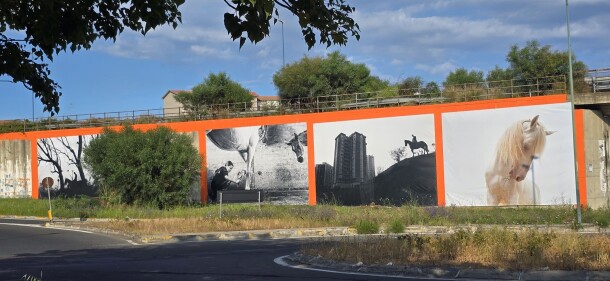 installazione_cavalli-eretici-2