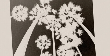 unnamed-7